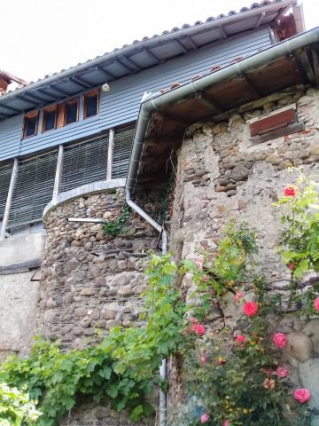 Bazar-du-nouveau-siecle—Chambres-d-hotesle-jardin—-Montrejeau-Comminges-Pyrenees