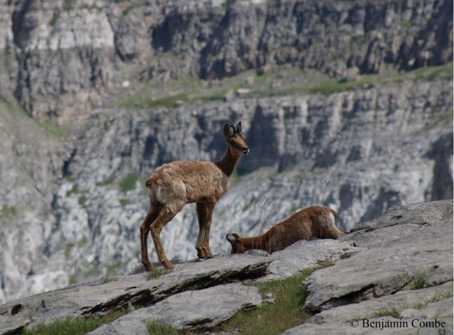 Benjamin-Combe—Accompagnateur-en-montagne-Comminges-Pyrenees