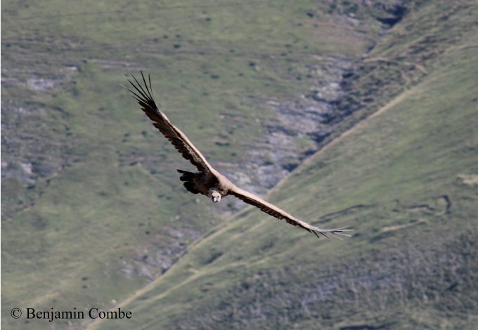 Benjamin-Combe-Accompagnateur-en-montagne–Comminges-Pyrenees