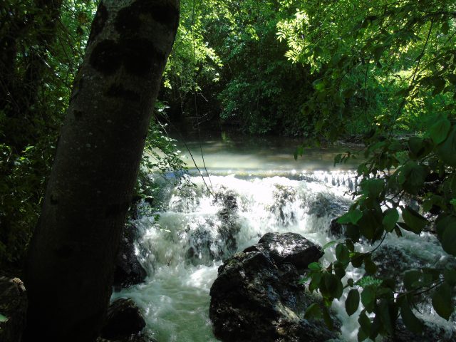 Dans-le-Piemont-Pyreneen—La-Seygouade—-Balesta-Comminges-Pyrenees