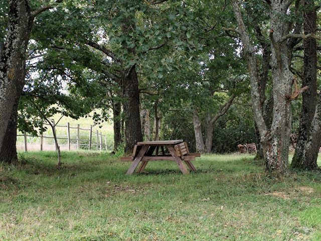 Domaine-d-Antichan—Le-Parc–Saint-Pe-Delbosc-Comminges-Pyrenees-3