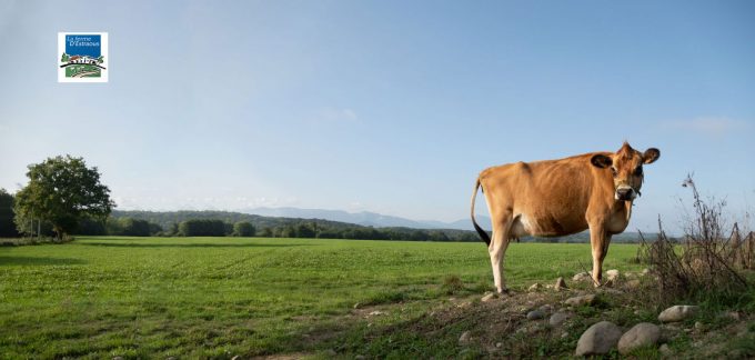 Ferme-Banniere-Ferme-destraous