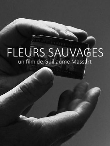 Fleurs-sauvages