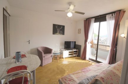 T2 – BALCON – PARKING -WIFI – PIED TELECABINE – TERRASSES D’ETIGNY – TE568