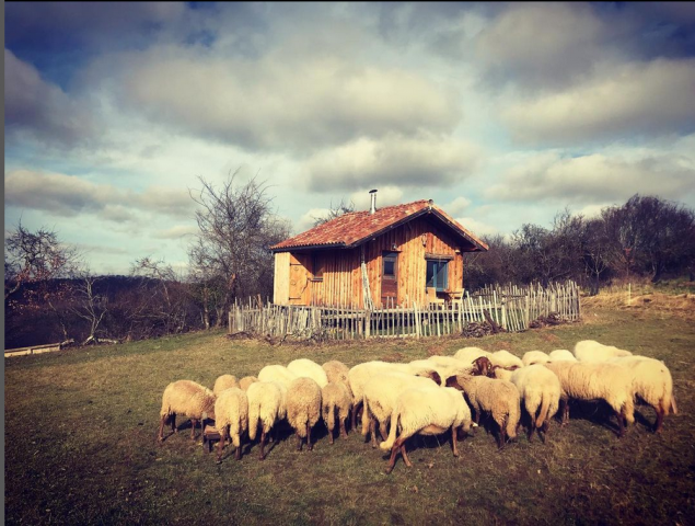 Screenshot-2022-04-08-at-15-59-09-La-cabane-du-chevreuil—la-cabane-du-chevreuil—-Photos-et-videos-Instagram