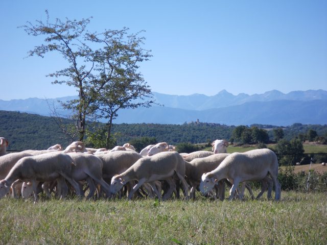 agneaux–ferme-de-Soubiane–Boussan