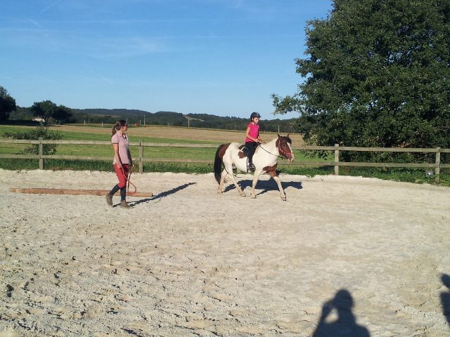 centre-equestre-de-la-noue-saux-pomaredes-saint-gaudens-640×480