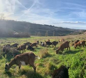 FERME DE SOÉPI