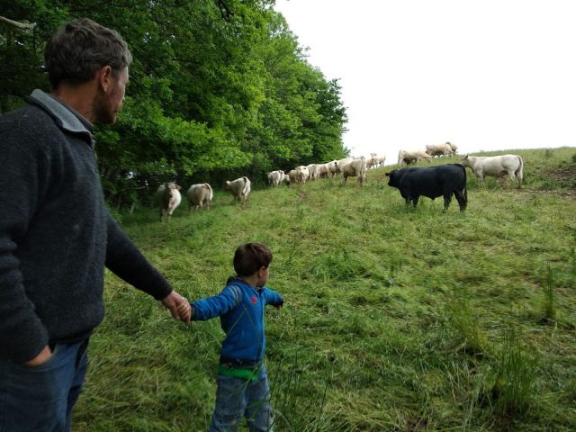 viande–la-ferme-des-hauts-coteaux–Saint-Plancard